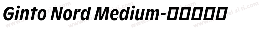 Ginto Nord Medium字体转换